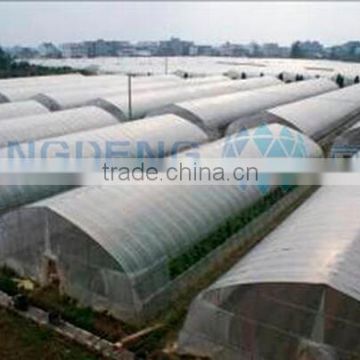 Multi tunnel greenhouse