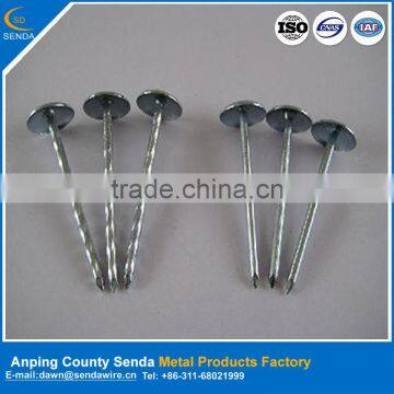 galvanized roofing nails/ construction iron nails