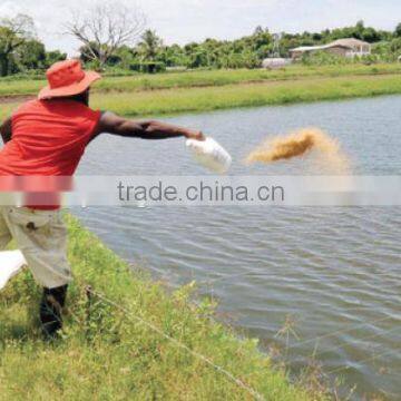 CE Certificate Best Seller Fish Feed Machine photo-6