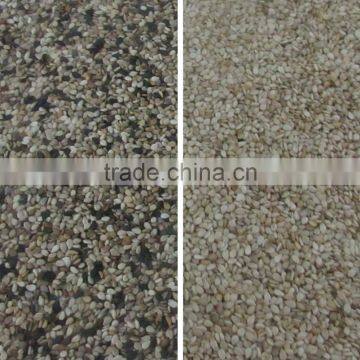 New Arrival Machine CCD Seed Color Selector