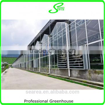 Multi- span potato film greenhouse for sale