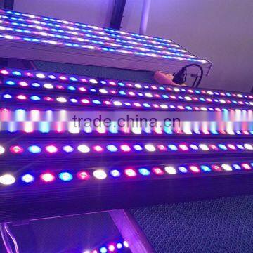Bridgelux Spectrum King Solo Led Grow Light Newstar Sunshine Led Grow Bar Lighting photo-3