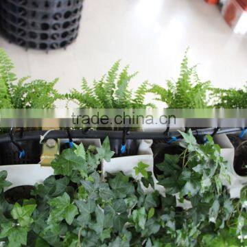 Double Sided Green Wall System for Office photo-3