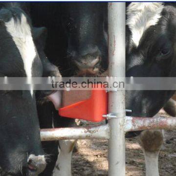 cattle licks block