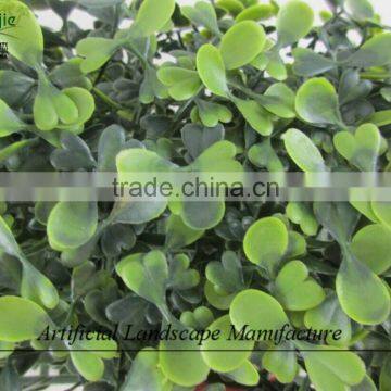 Anti-UV Grass Carpet , Artificial Milan Grass for Wholesale photo-2