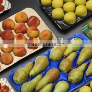 Economic Price Good Quality Export Standard Disposible Plastic Tray Liner for Apple in Food Grade photo-4