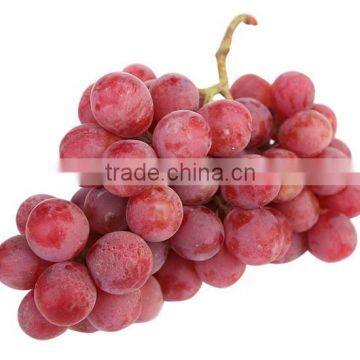 Sweet and high quality Grapes