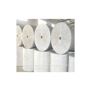 Nonwoven Fabrics Needle Punched