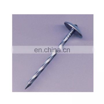 EG bulk roofing nail bulk nail 50lb packing