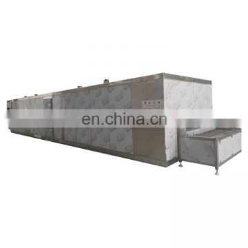 100kg/h small scale stainless steel 304 iqf freezing equipment tunnel freezer for Fish