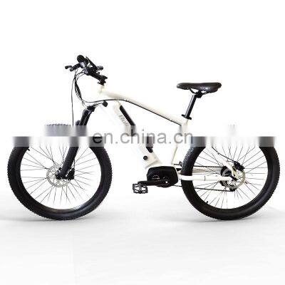 Hotselling 26inch Alloy Frame Electric Bicycle Beach Ebike 36v 250w Electric Mountain Bike