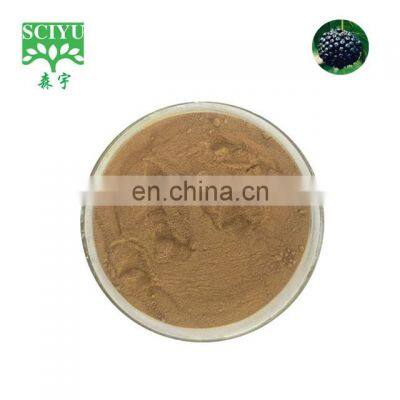 Free sample Wholesale siberian ginseng extract powder