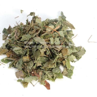 Epimedium Breviconum P.E. Icariin 98%, Horny Goat Weed Extract, Epimedium extract icariin, horny goat weed supplement