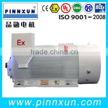 Washing Machine Motor