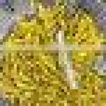 Green Chilli in Drums