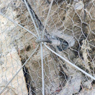 Wholesale 25m Length Hr30 Hexagonal Double Twisted Mesh Plain Weave Slope Protection Netting for Slope Stabilization Woven