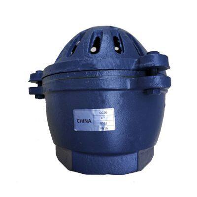 BS Standard Foot Valve DN100 Cast Iron  Ductile Iron Manual Operation General Type Water Pump Check Valve Fluid Control System