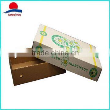 Custom High Quality Paper Fruit Packaging