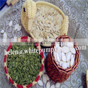 Chinese pumpkin seeds kernels