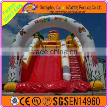 Funny Carton Design Inflatable Plastic Dry Slide photo-4