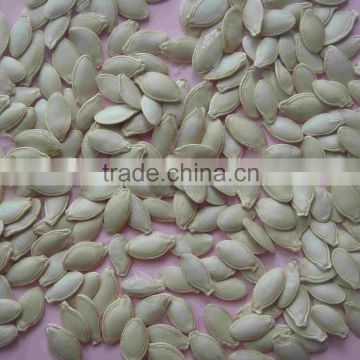 new crop chinese shine skin pumpkin seeds