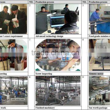 Automatic Slanty Chip Making Machine photo-4