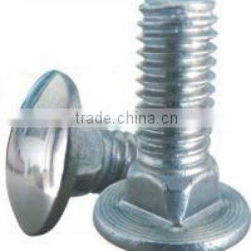 Zinc plated Carriage bolt