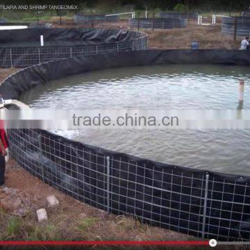 High Quality Hdpe Ponds Geomembrane photo-5