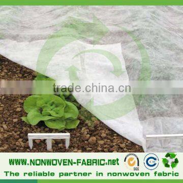 Spunbond 100% pp Nonwoven Fabric Non Woven Fabric Textile Agriculture Fabric photo-4