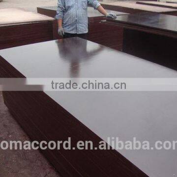 china black film faced plywood