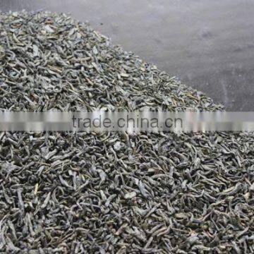 Professional Tea Maker China Chunmee Green Tea 9371