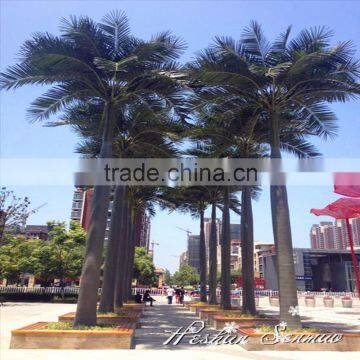 vertical garden decoration palm leaf products 5ft to 16ft Height outdoor artificial green plastic coconut palm trees