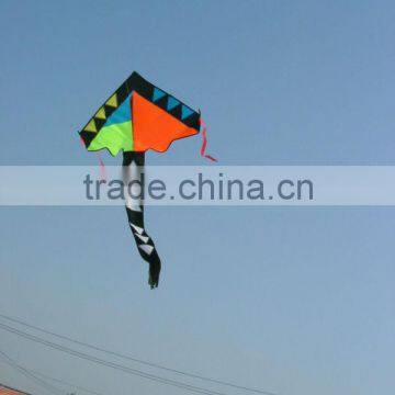 Children kite Rainbow Delta kite from kite Factory