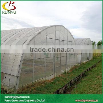 Arch roof type tunnel greenhouse growing cucumbers in greenhouse