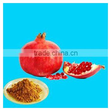 Pomegranate Extract with Ellagic Acid 40%HPLC