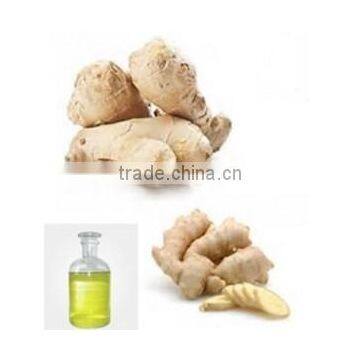 Natural Ginger Oil from direct factory