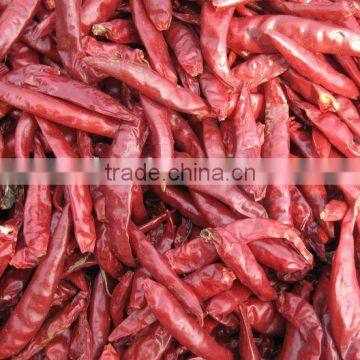 chaotian chilli