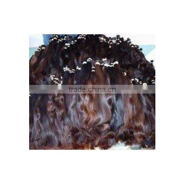 Argentina Hair Bulk Wholesale - New Arrivals - Hot Bulk Hair