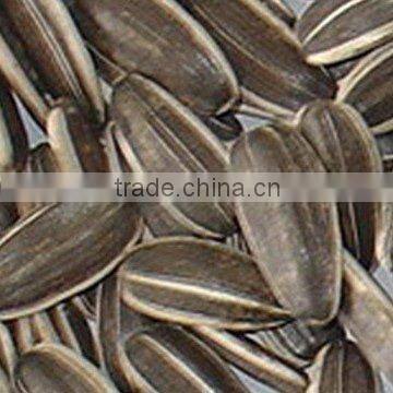 sunflower seeds 5009