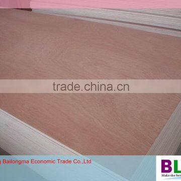 19mm bintangor plywood factory in china