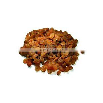 raisin dried raisin high quality turkish origin turkish manufacturer