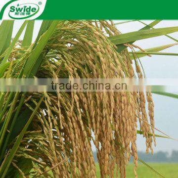 Amino Acid/fertilizer/liquid Fertilizer/amino Acid Liquid Fertilizer photo-4