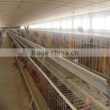 Express Used Poultry Equipment for Sale photo-4