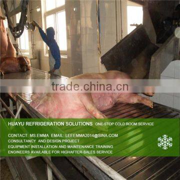 High Automatic Pig Slaughter equipment line made in China