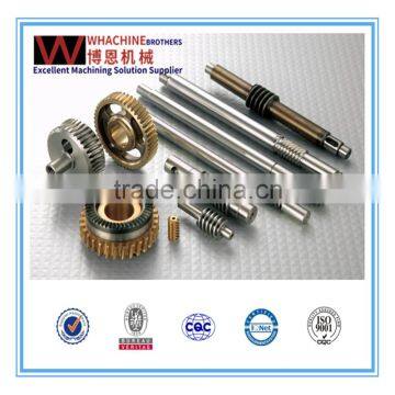 Professional Manufacturer Brass/Steel/Small/Large Worm Gear