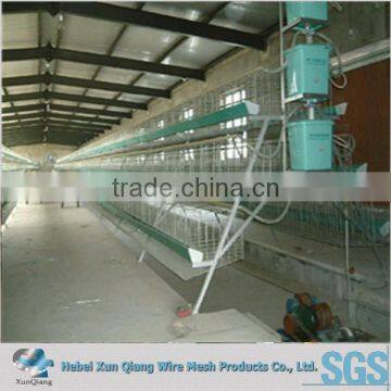 Popular Abroad Galvanized Welded Wire Chicken Cages photo-2