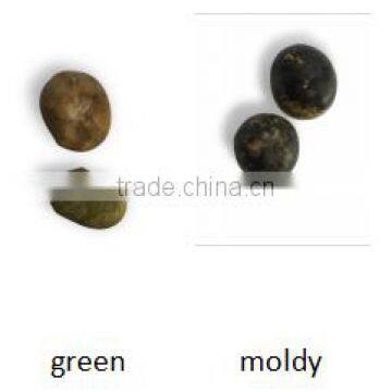 Best Price Bean Sorting Machine / Seed Sorting Machine photo-2