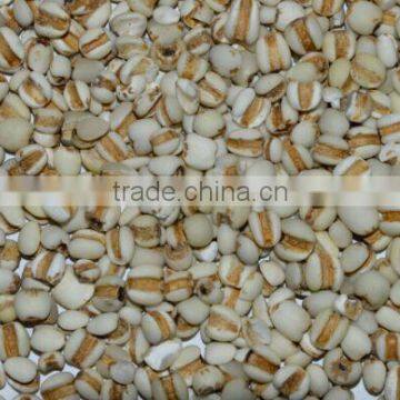 Myotonin Color Sorter Machine photo-3