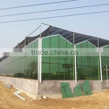 Galvanized Steel Frame Multi Span Agricultural Greenhouse for Sale photo-3