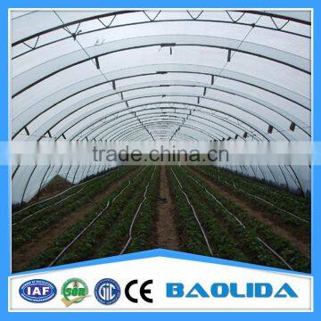 Cheap Tunnel Greenhouse for Vegetable photo-6
